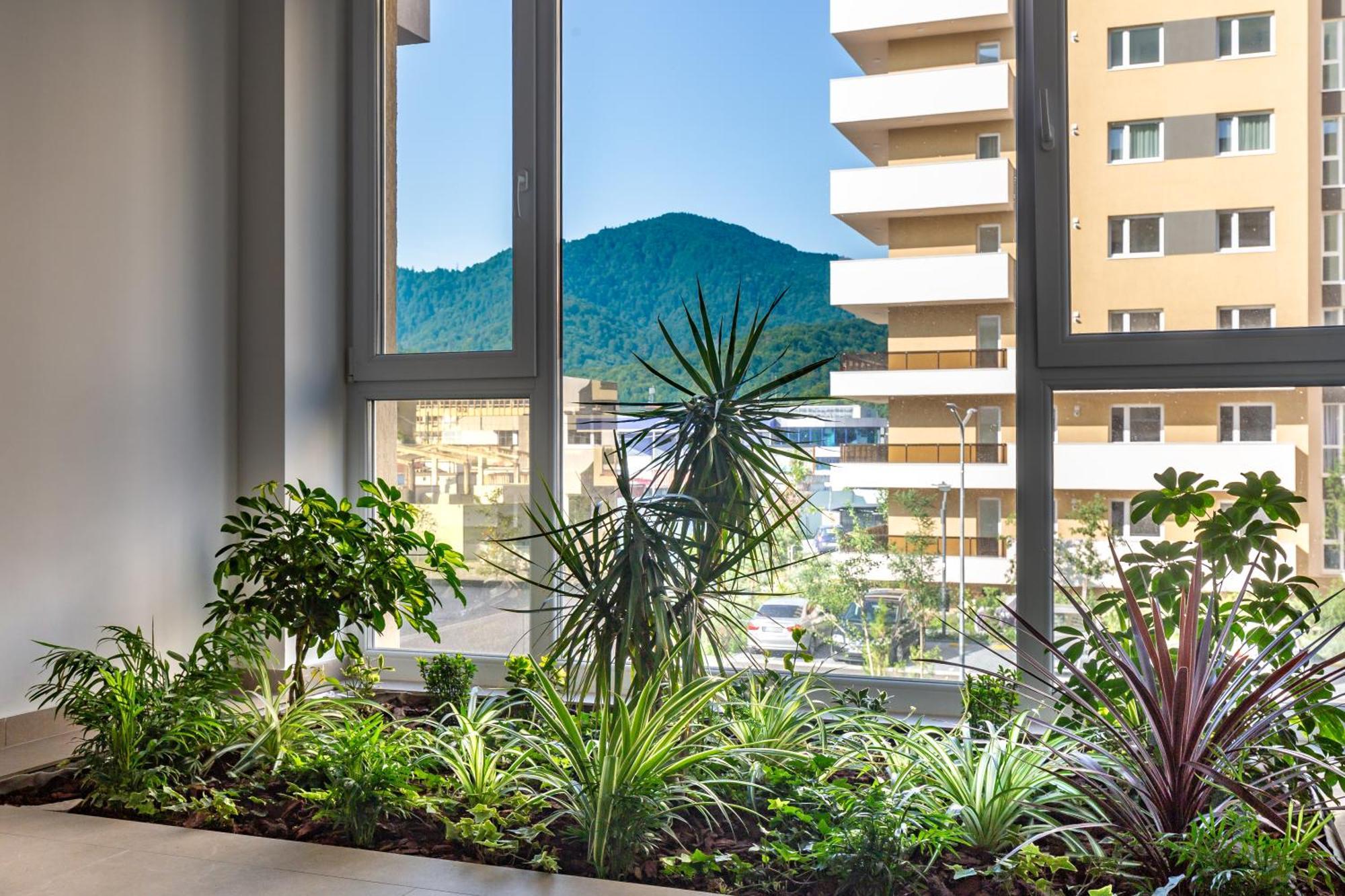 Mountain View Terrace Oasis With Parking And Ac Apartment Brasov
